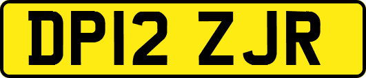 DP12ZJR