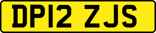 DP12ZJS