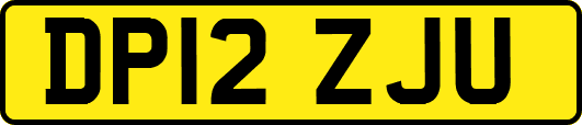 DP12ZJU