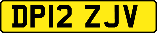 DP12ZJV
