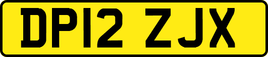 DP12ZJX
