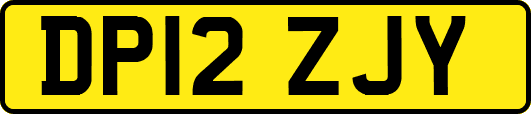 DP12ZJY
