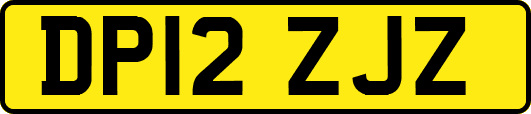 DP12ZJZ