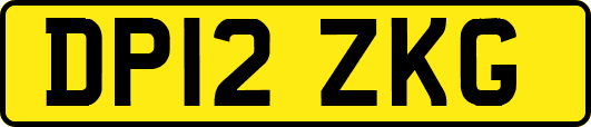 DP12ZKG