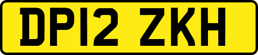 DP12ZKH