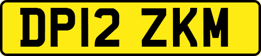 DP12ZKM