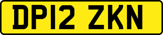 DP12ZKN