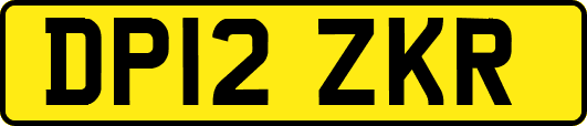 DP12ZKR