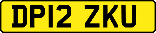 DP12ZKU