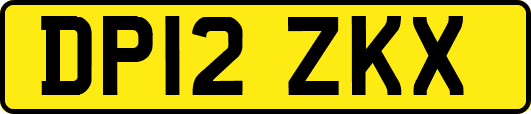 DP12ZKX