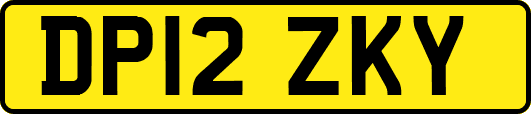 DP12ZKY