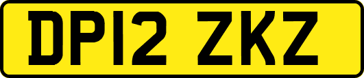 DP12ZKZ