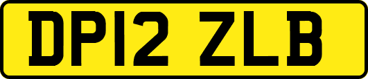 DP12ZLB