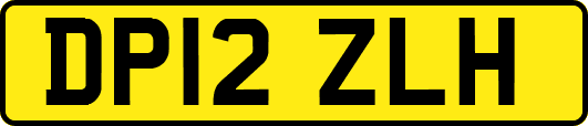 DP12ZLH