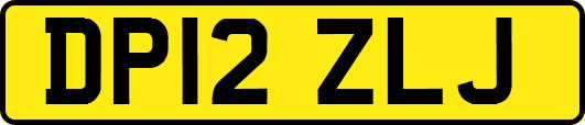 DP12ZLJ