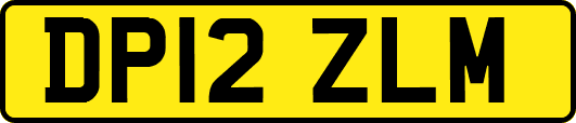 DP12ZLM