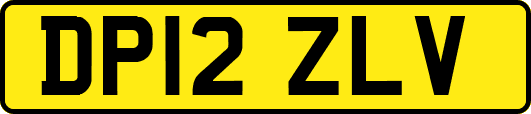 DP12ZLV