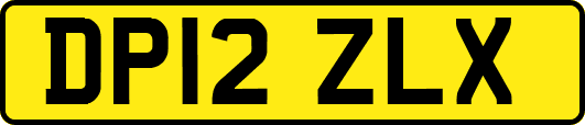 DP12ZLX