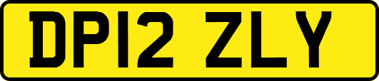 DP12ZLY
