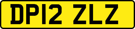 DP12ZLZ