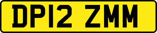 DP12ZMM