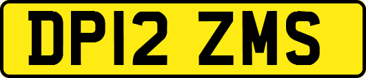 DP12ZMS