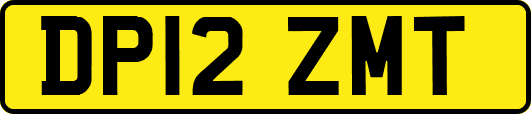 DP12ZMT