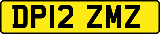 DP12ZMZ
