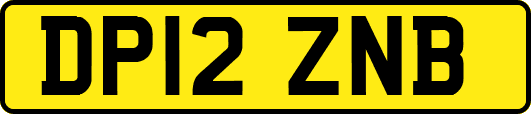 DP12ZNB