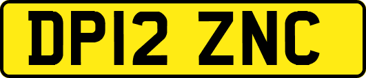 DP12ZNC