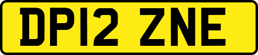 DP12ZNE