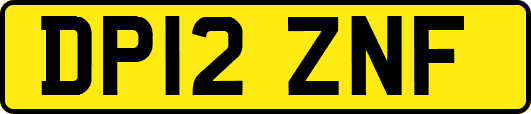DP12ZNF