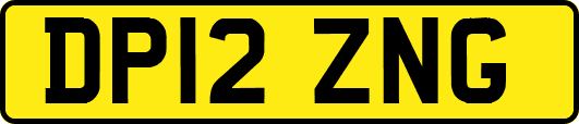 DP12ZNG