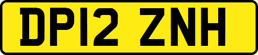 DP12ZNH