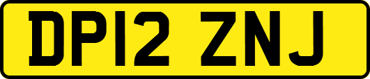 DP12ZNJ