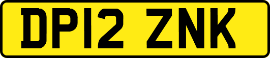 DP12ZNK