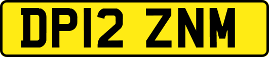 DP12ZNM