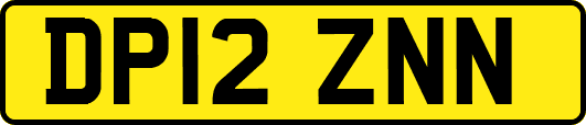DP12ZNN