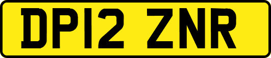 DP12ZNR