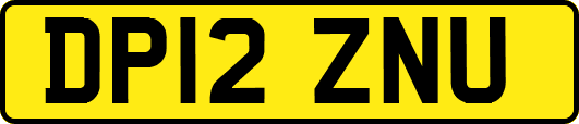 DP12ZNU