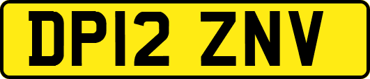 DP12ZNV