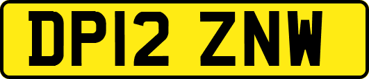 DP12ZNW