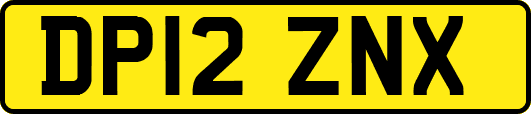 DP12ZNX