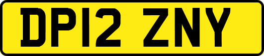 DP12ZNY