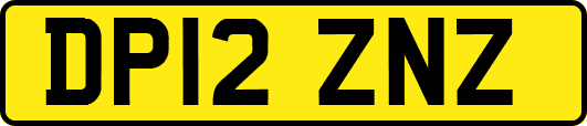 DP12ZNZ