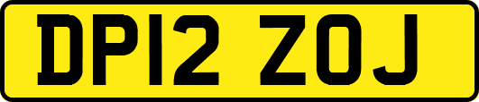 DP12ZOJ