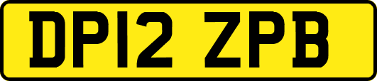 DP12ZPB