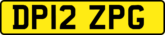DP12ZPG