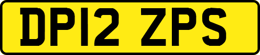 DP12ZPS