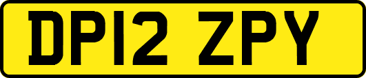 DP12ZPY